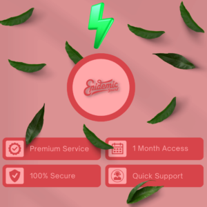 EpidemicSounds Access