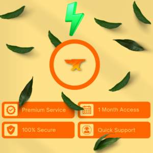 Article Forge Access