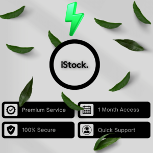 iStock Downloader Access